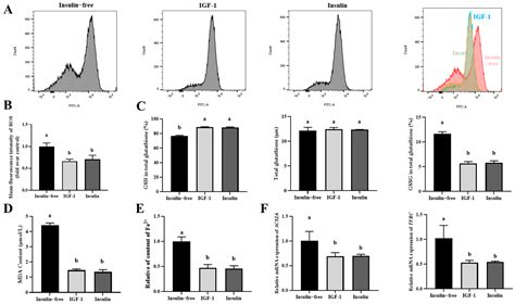 Functional Equivalence of Insulin and IGF-1 in the In Vitro Culture of ...