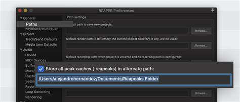 Reaper Project File Offline 的图像结果
