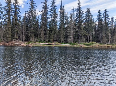 Camping With the Kids at Goose Lake Campground in Washington – Mom Life ...
