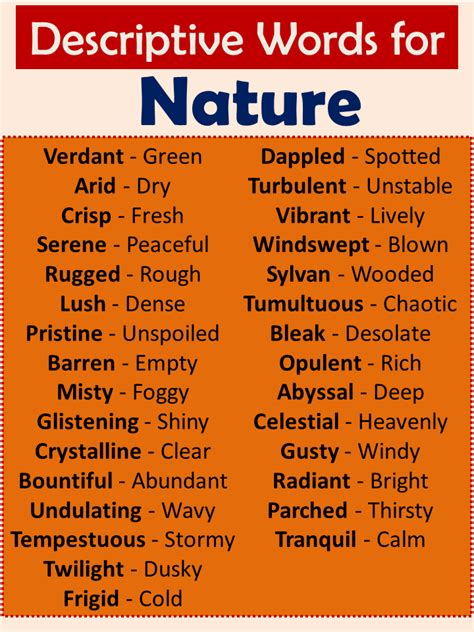 Adjectives for Nature (Descriptive Words for Nature) - Vocabulary Point