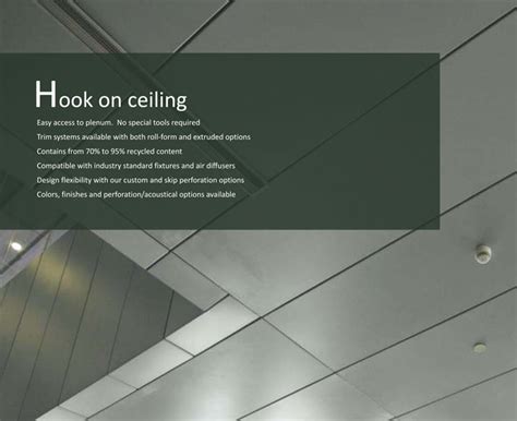 Citizen | Hook On Ceiling