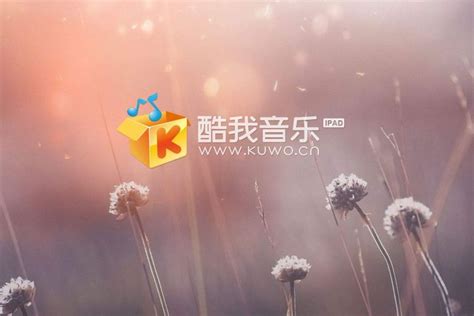 Radio Programs To Learn Chinese | MandarinMania.com