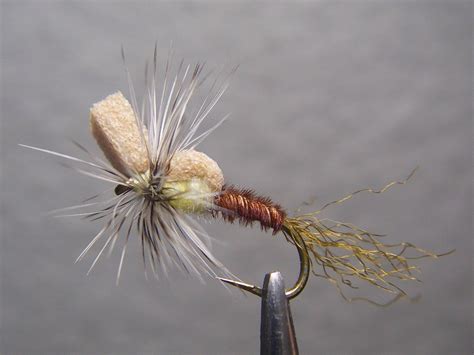 PMD Emerger Fly Pattern 的图像结果