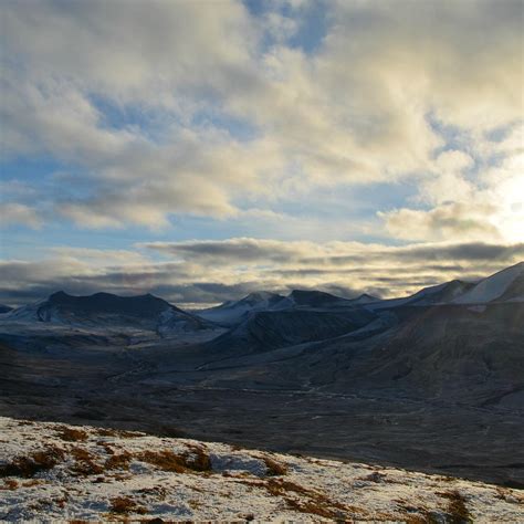 SVALBARD TREKKING - DAY TOURS (2026) All You Need to Know BEFORE You Go ...