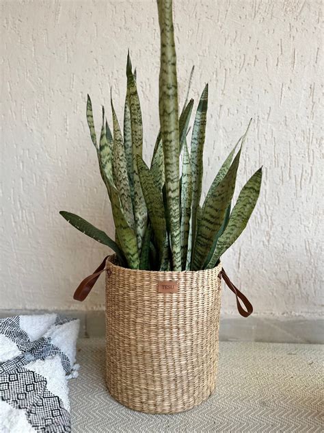 Seagrass Dense Storage Basket With Handle