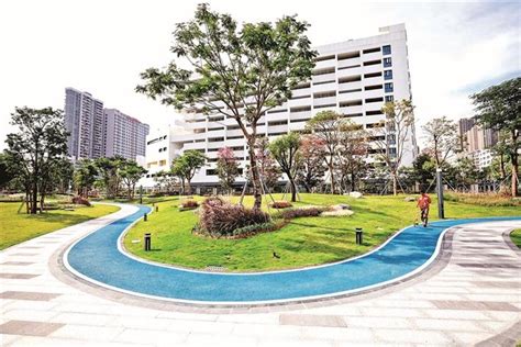 龙华在核心城区试点探索小型特色公园规划建设-工作动态-龙华政府在线