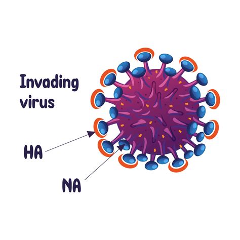 Imki helps build immunity and reduce the episodes of infection ...