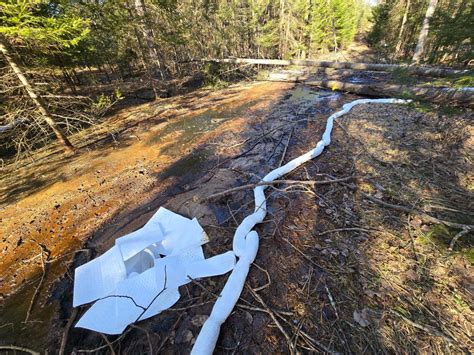 EGLE investigating oil release at state forest in Cheboygan County ...