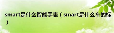 smart车的中文名字是什么？-有驾