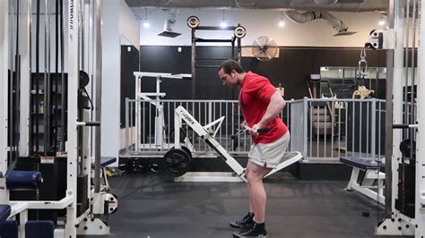 Image result for Cable Row Muscles