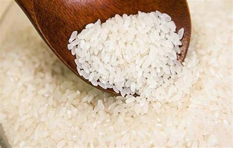 粳米和大米的区别_综合知识_食品常识