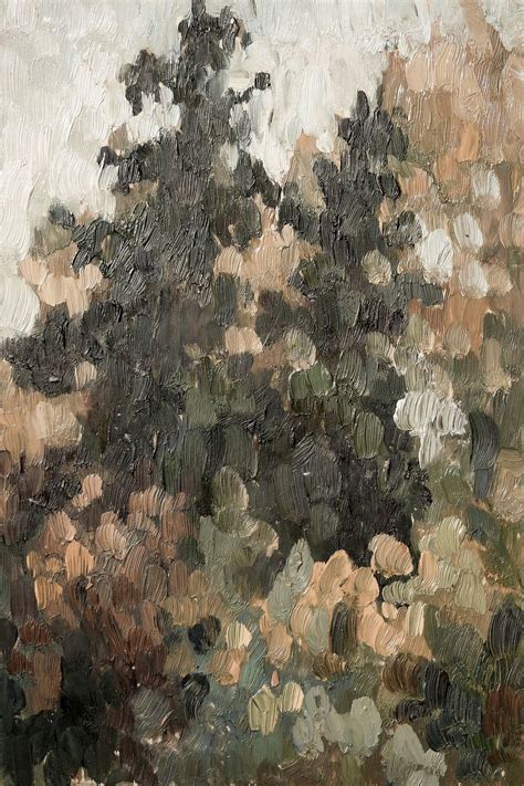 Amber Woods – Collection Prints