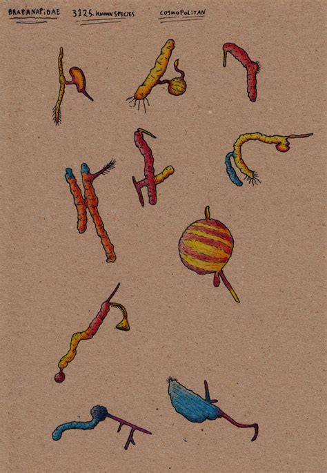 Alien Looks 的图像结果