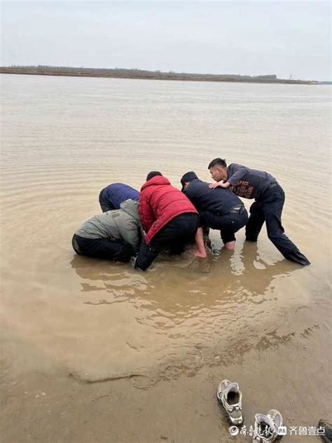 给黄河下游人们带来危害的淤泥竟然能让碱滩变良田？