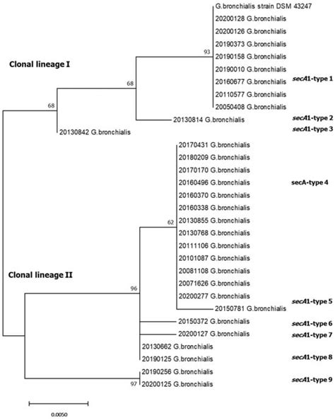Focusing on Gordonia Infections: Distribution, Antimicrobial ...