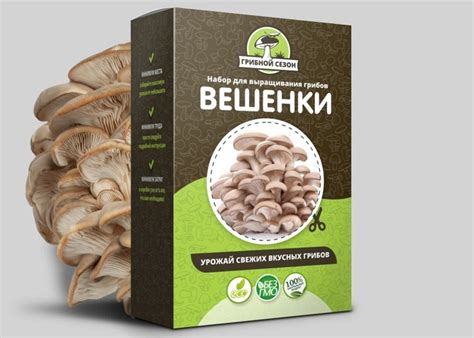 Набор для выращивания грибов в домашних условиях | Все о поликарбонате ...