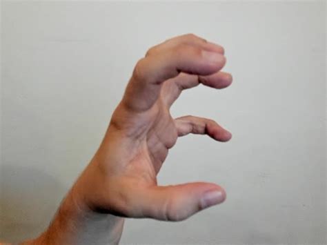Image result for Want Sign Language