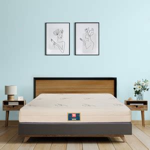 TADesign Spine Align French Top Premium Orthopedic Memory Foam 6 inch ...