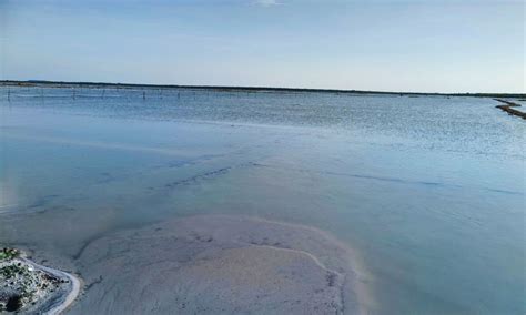 Heavy rains flood salt pans in Villupuram's Marakkanam