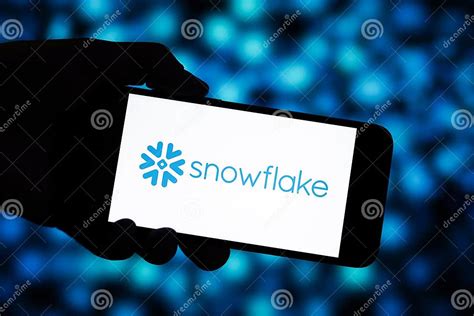 Snowflake Computing 的图像结果