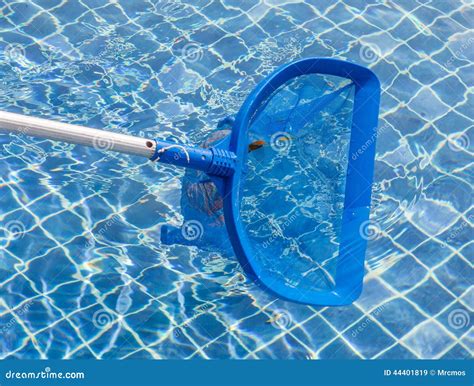 Cleaning and Maintenance Swimming Pool with Cleaning Net, Blue S Stock ...