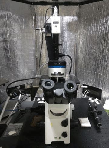 Image result for AFM Explained Microscope