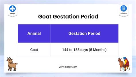 Goat Gestation Calculator | Goat Pregnancy Calculator | Drlogy