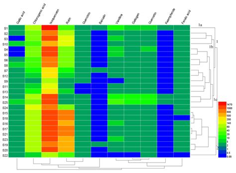 Comprehensive Investigation of Moringa oleifera from Different Regions ...