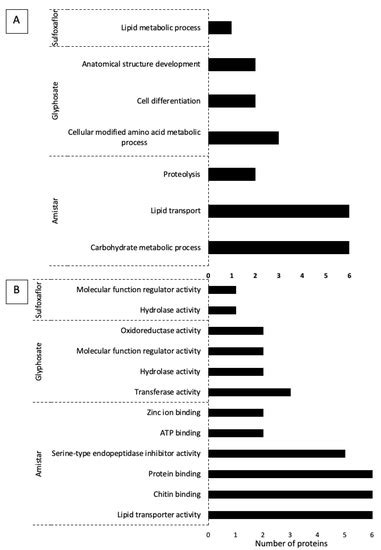 Parasite and Pesticide Impacts on the Bumblebee (Bombus terrestris ...