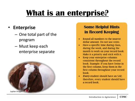 Image result for Enterprises Explained