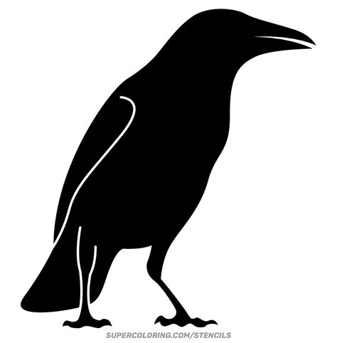 Image result for Crow Pattern-Free
