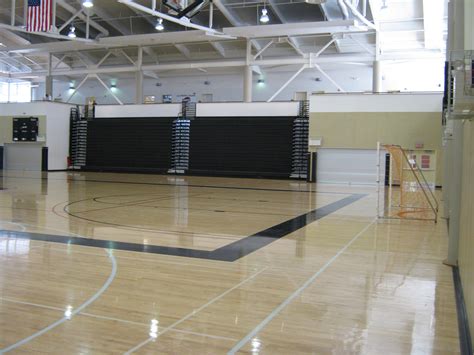 Gymnasium 的图像结果