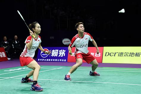 Mixed Doubles Badminton 的图像结果