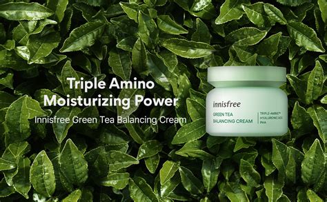 Innisfree Green Tea Balancing Cream 50ml | formulated with pure ...