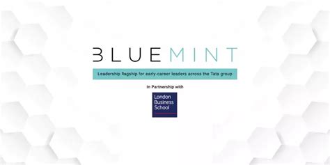 Blue Mint | Tata Tomorrow University