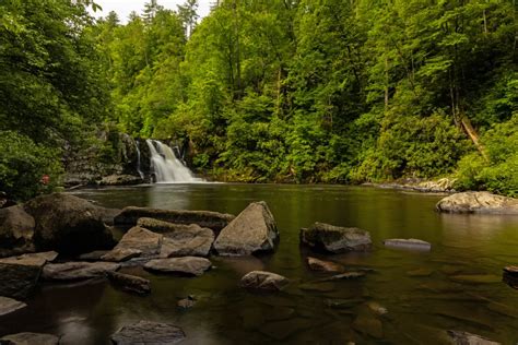 Abrams Falls Trail