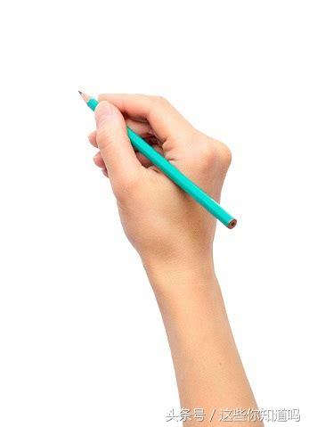 这些小时候的笔，用过十种以上的请举手！-谢飞的储藏
