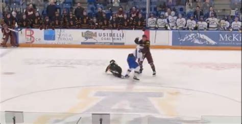 Hockey Fight 的图像结果