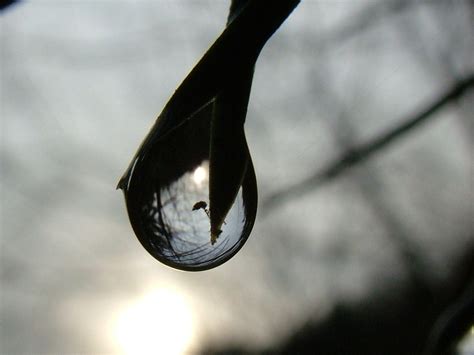 Image result for Raindrop Refraction