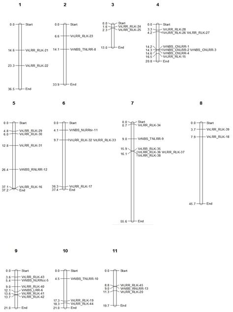 Salicylic Acid-Induced Expression Profiles of LRR and LRR-RLK Candidate ...