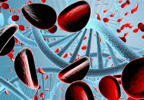 Image result for Cell-Free DNA Testing