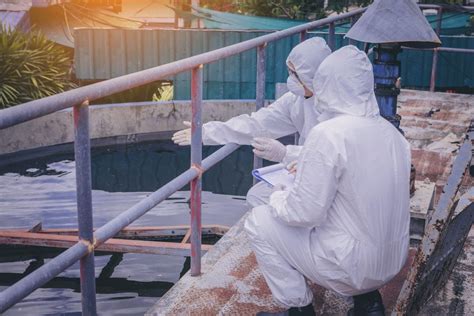 Image result for Process Technology Online Classes