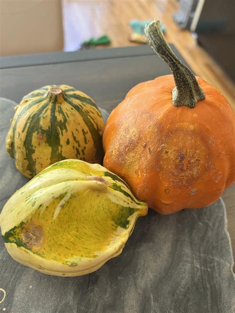 Does Varnish Go Bad: Essential Tips for Proper Storage – Woodworking ...