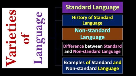 Standard Language 的图像结果