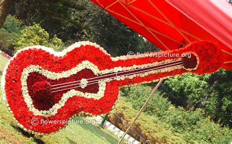 Lalbagh flower show 2015 pictures