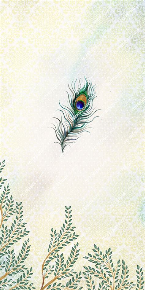 Graceful Plumes || Video || EI-25 – Hamporio