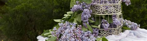 Download wallpaper flowers, table, cell, flowers, lilac, lilac, section ...