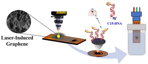 Modern Electrochemical Biosensing Based on Nucleic Acids and Carbon ...