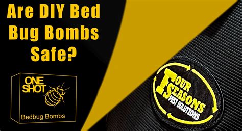 How Do Bed Bug Smoke Bombs Work at Laura Granados blog