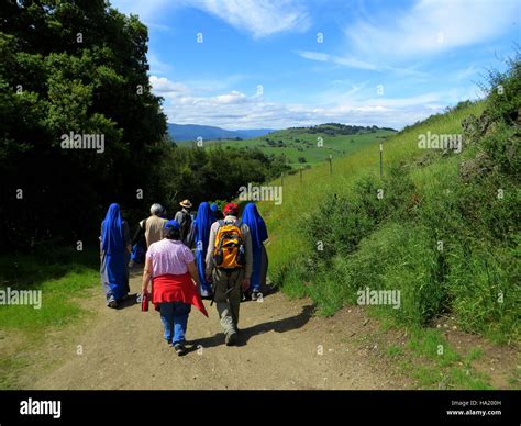 The Anza Trail at Santa Teresa County Park offers a scenic hike through ...